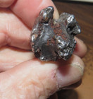 43 Gm Campo Del Cielo Meteorite Crystal  Great Piece  With Stand Jal Silicate