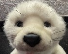 24    Folkmanis Harp Seal Pup Hand Puppet Full Body Soft White Fur Plush W  Tags