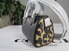 Nwt Coach Mini Rowan Crossbody Bag With Leopard Print Cw332 Leopard Multi