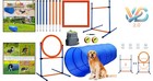 Dog Agility Training Kit 60-piece Obstacle Course Tunnel Hurdles Toys