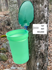 25 Maple Sap Syrup 5 16 Taps   Stainless Steel Spouts  Spiles For Buckets W lids