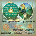 Aa Sobriety Coin Alcoholics Anonymous Recovery Chip With Serenity Prayer  Tra   