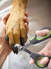 1 Pc Stainless Steel Pet Nail Clippers For Cats  Dogs And Rabbits