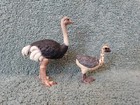 Retired Schleich Ostrich Female   Chick Set  14325   14398 - Ships Free 