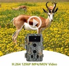 2 Pack Trail Cameras No Glow Night Vision 64mp 1296p Waterproof Hunting Cameras