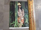 Lot Of 4 Hawaii Postcards From Hawaiian Islands Beautiful Native Woman Topless