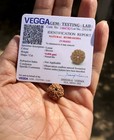 Lab Certified 9 Mukhi Rudraksha  9 Nine Face Rudraksham 1 Piece  Small Size