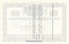 Original West End Consolidated Mine Corporation Stock Certificate Tonopah Nevada