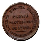 French 1848 Revolution Token Medal Feb  25th Provisional Committee France