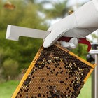 2pk Stainless Steel J Hook Bee Hive Tool  Beekeeping Honey Scraper  Frame Lifter