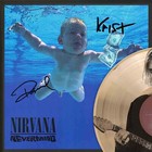 Nirvana Nevermind Framed Laser Etched Picture Lp Display