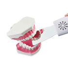 Dental Occlusal Mirror Fog Free Led Intra Oral Photo System 4 Mirrors Anti-fog