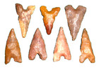  7  Choice Sahara Neolithic Algerian Points With 3x4  Display Box  Africa