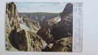 Lot Of 4 Antique Haynes Yellowstone Postcards Crater Oblong Geyser Feeding Bear