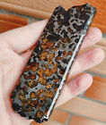 136g Sericho Pallasite Meteorite From Kenya