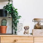 Shih Tzu Gifts Wooden Box Sign  Funny Dog Kitchen Decor  Shih Tzu Gifts For W   