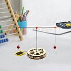 Diy Science Experiment Kit Assembling Children Kids Educational Toy 3d Wooden