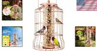 Squirrel Proof Bird Feeders For Outdoors Hanging  rose  Metal Bird Feeder Squirr
