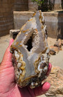 Limb Cast With Pseudomorphs Rough Specimen 5 5 x3 5 x2 5  2 8 Pounds See Video
