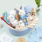 30 Piece Baby Gift Basket     Luxury Curated Baby Girl Gift Basket For Newborn    