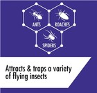 Stem Kills Ants  Roaches And Spiders  Plant-based Active Ingredient Bug Spray