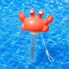 Xy-wq Floating Pool Thermometer  Large Size Easy Read For Water Crab