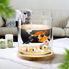 0 81-gal Aquarium Starter Kits Fish Tank Betta Fish Bowl W  Led Light Water Pump