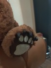  First   Main Plush Bear Weighted Bottom Sits Upright 10  Leather Claws 