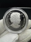 2014 Rcm Canada  25 Arctic Fox And Northern Lights Proof 9999 Silver - Coin Only