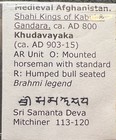 Medieval Afghanistan Shahi Kings Of Kabul   Gandara Khudavayaka C Ad 903-915