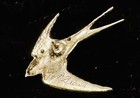 Vintage ar Brown pewter Swallow In Flight Brooch free Shipping