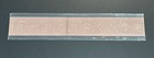 New Tcmc The Coffee Monsterz Co  rose Gold  6 Inch Ruler