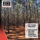 Longleaf Pine Straw Roll For Landscaping - Non-colored - Covers Up To 125 Squ   