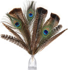 Large Natural Pheasant Feathers - 8-12inch 4 Styles 15pcs Assorted Craft Feather