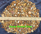 10 Lbs Natural  Aquarium Fish Tank Gravel  Pebbles And  Color Stones
