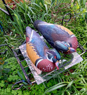 Flambeau Duck Stormfront Decoy Plastic Hollow Hunting Mallard  16  