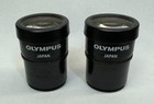 Pair Olympus Gswh10x 22 High Eyepoint Microscope Eyepieces 30mm