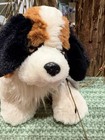 Rare Ganz Webkinz Alpine St  Bernard Plush Brown   White Unused Code 