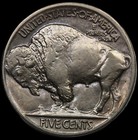 1916 5c Buffalo Nickel- Gem Bu  Free Shipping - Jam-302