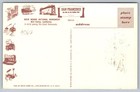  4063 Wonders Of America Coast Redwoods Maxi Card