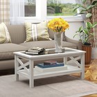 Modern Coffee Table Tempered Glass With Storage Shelf Living Room
