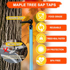 Maple Syrup Tree Tapping Kit With 8l Bags  10 Maple Sap Taps  10 Food Grade 3ft 