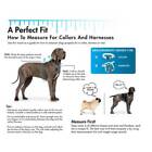 Coastal Adjustable Nylon Dog Collar With Plastic Buckle  each Sold Separately 