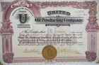 Delaware Oil Producing Company Stock Certificate Oil  1116
