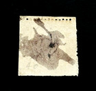 Old New South Wales Stamp - 1864 Queen Victoria Six Pence Used 