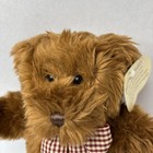 Vintage 1999 Avon Exclusive Kids Praying Teddy Bear 12    New With The Tag