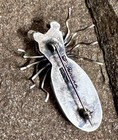 Herbert Ration Navajo Sterling Spider Bug Insect Lapis Coral Pin brooch