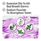 Listerine Total Care Mouthwash 1l Fluoride Fresh Mint Ada Accepted