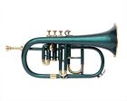 Professional Flugel 4v Green  Brass Expert s Choice With Hard Case   Mp 