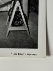 Vintage 1950s Photo Bettie Page 